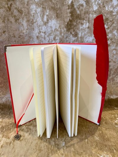A5 Notebook Journal for Dungeons and Dragons Red Vegan Friendly D20 for Dnd and Pathfinder Notes includes feather pen gift set - Image 3