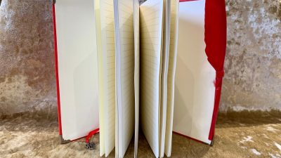 A5 Notebook Journal for Dungeons and Dragons Red Vegan Friendly D20 for Dnd and Pathfinder Notes includes feather pen gift set - Image 5