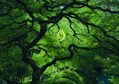 Druid A5 Greeting Card with Gold Metallic Envelope Dungeons and Dragons. Fantasy rpg for DnD Gifts RPG Gift Props Christmas gifts - Image 2