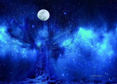 Tree of Life Moon Goddess Witchcraft LARGE shoulder Messenger Bag for Witch Vegan gifts - Image 2